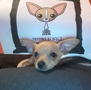 Meet your Posher, Selena